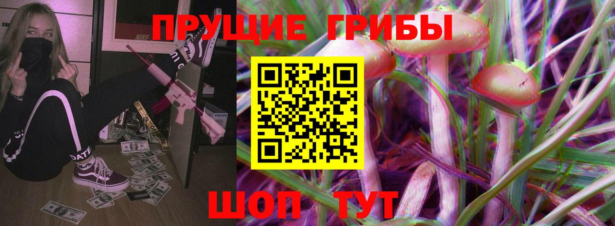 купить закладку  Вход с VPN  Тула  Псилоцибиновые грибы GOLDEN TEACHER 